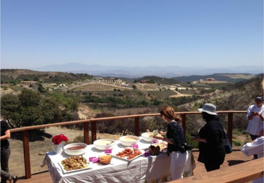 Big Traveling Potluck