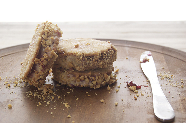 Peanut Butter and Jelly Ice Cream Sandwiches