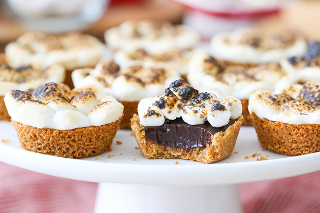 S'mores Party