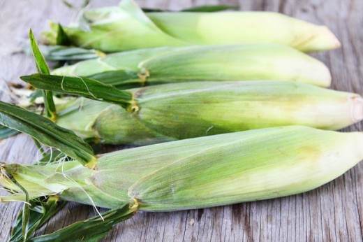 Sweet Corn