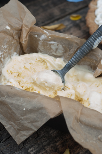 Mascarpone Cream Cheese Ice Cream Recipe